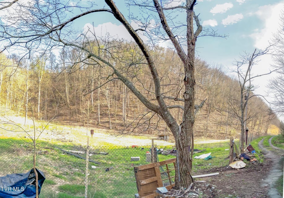 Photo #3: 809 Wyatt Hollow Road