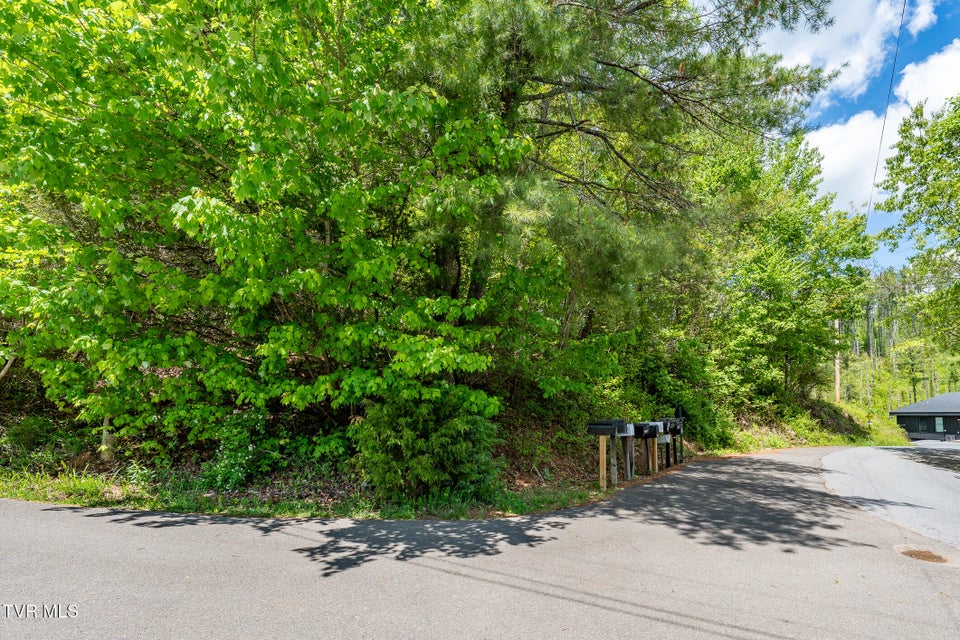 Photo #18: Tbd Campbell Road