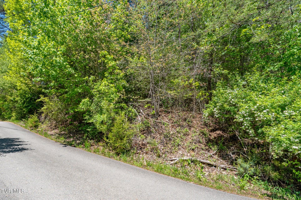 Photo #20: Tbd Campbell Road