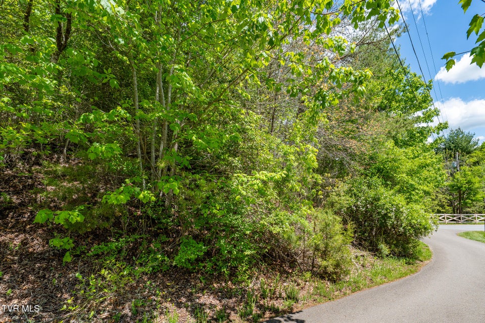 Photo #21: Tbd Campbell Road