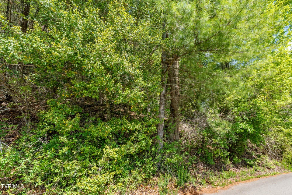 Photo #22: Tbd Campbell Road