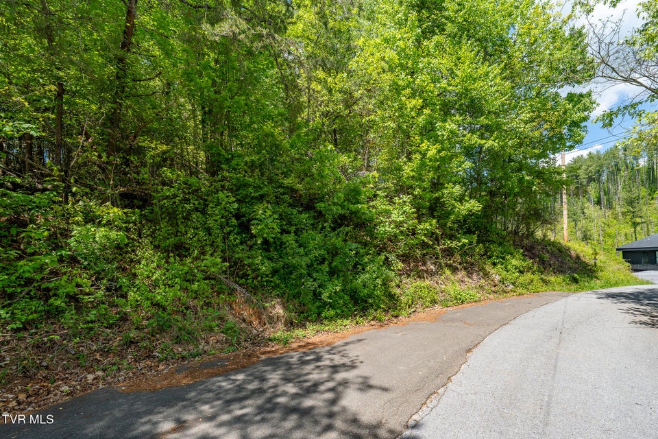 Photo #23: Tbd Campbell Road