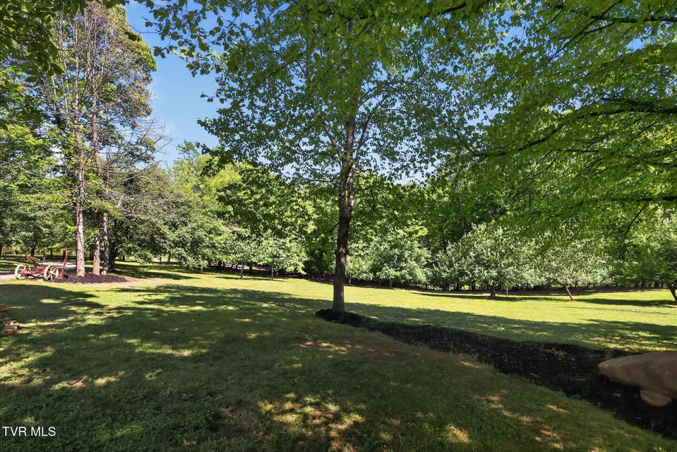 Photo #32: 13544 Revera Drive
