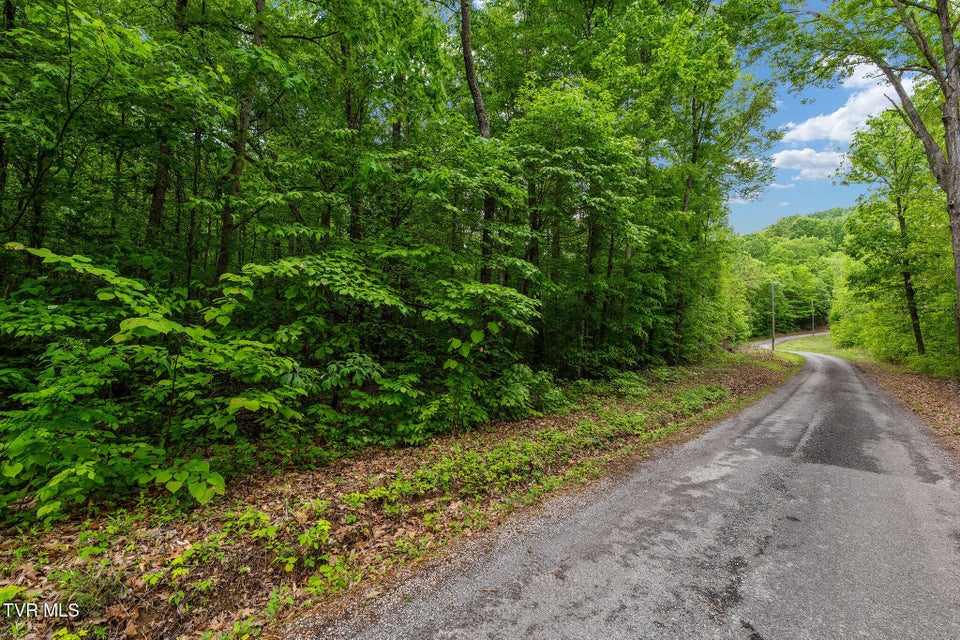 Photo #2: Tbd Wattenbarger Gap Road