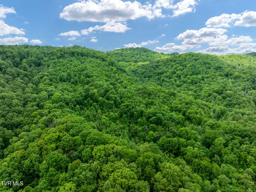 Photo #4: Tbd Wattenbarger Gap Road