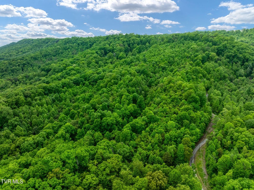 Photo #9: Tbd Wattenbarger Gap Road