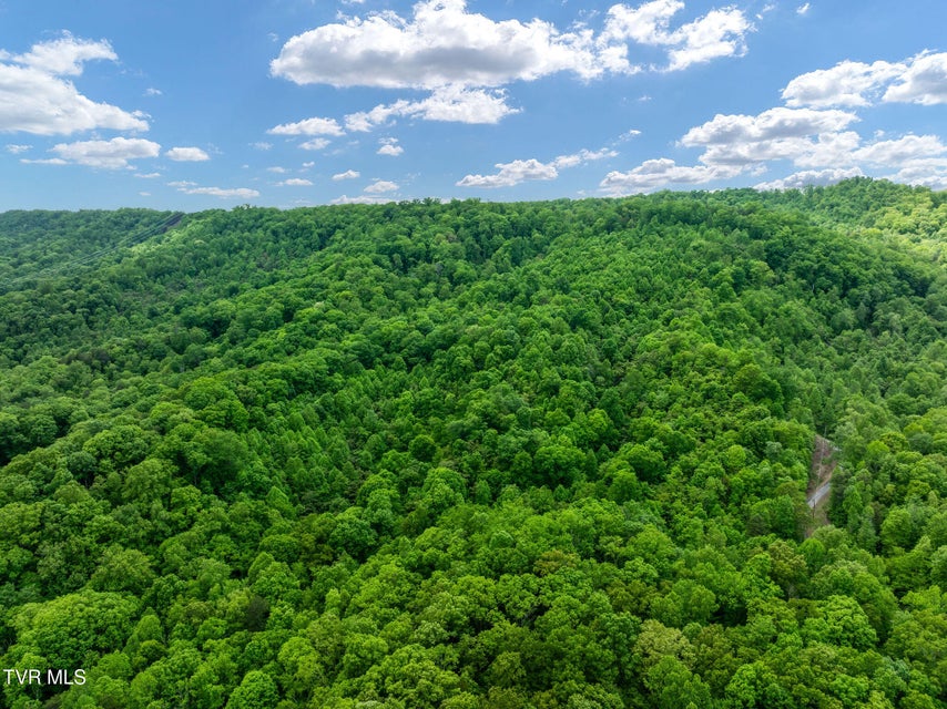 Photo #10: Tbd Wattenbarger Gap Road