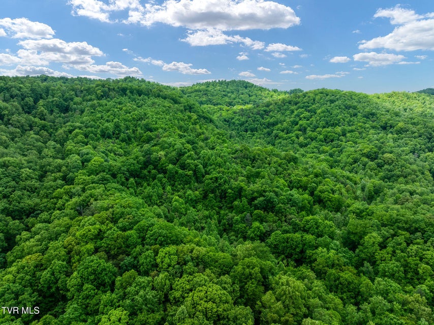 Photo #11: Tbd Wattenbarger Gap Road