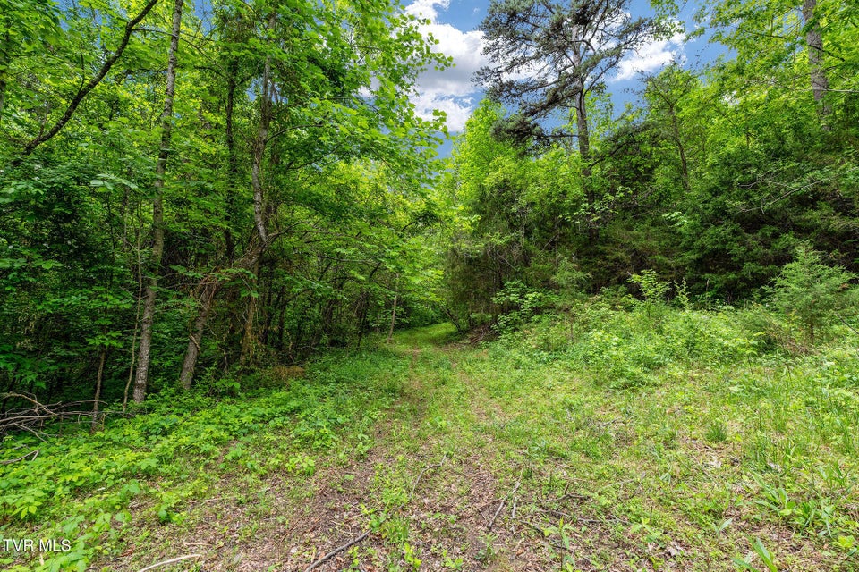 Photo #12: Tbd Wattenbarger Gap Road