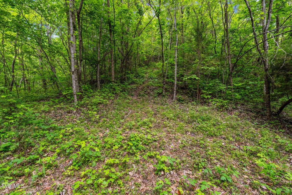 Photo #13: Tbd Wattenbarger Gap Road
