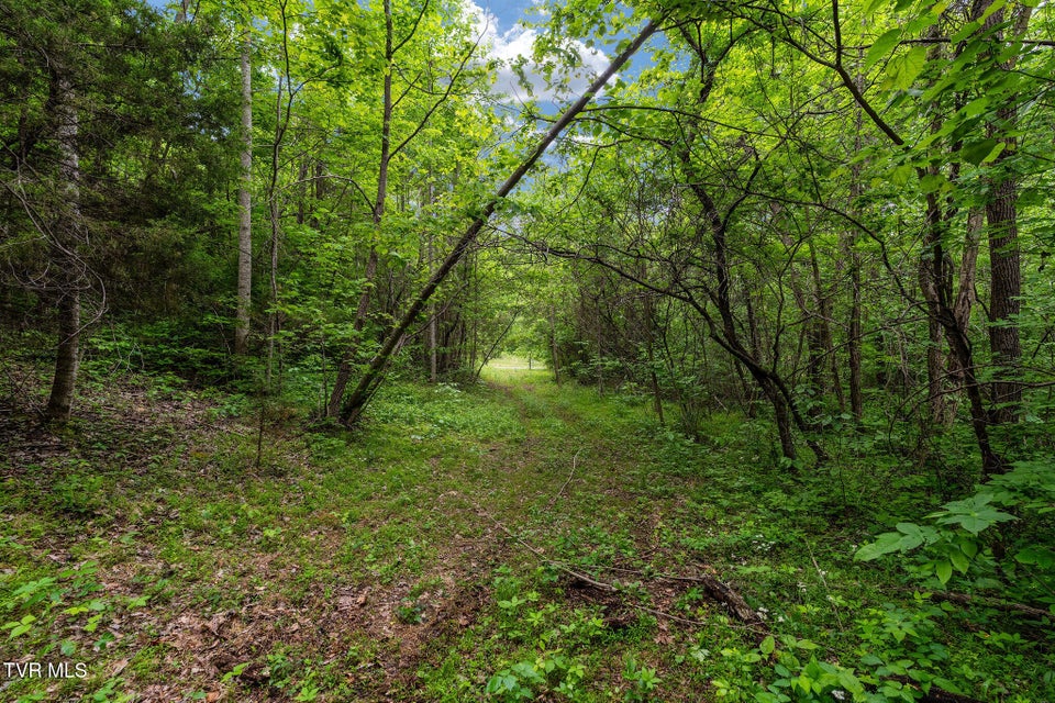 Photo #14: Tbd Wattenbarger Gap Road