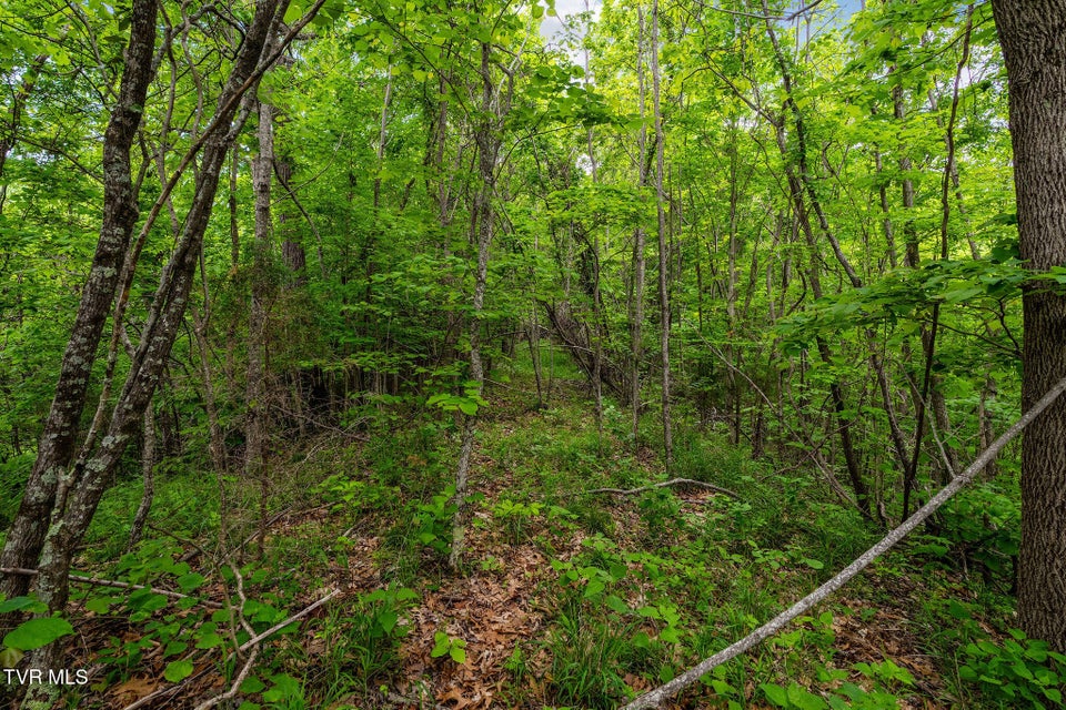 Photo #18: Tbd Wattenbarger Gap Road