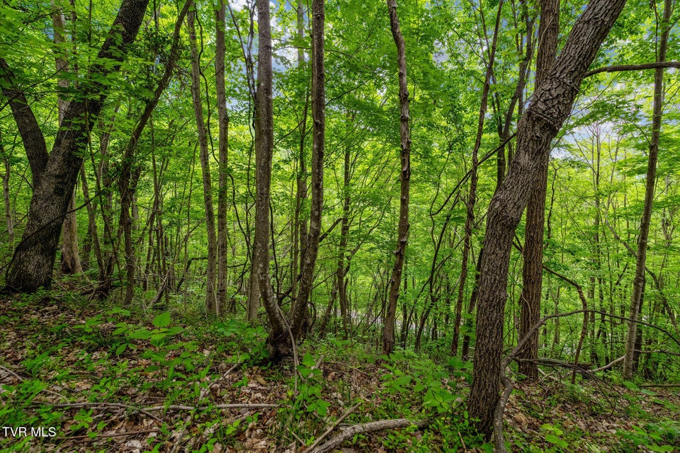 Photo #20: Tbd Wattenbarger Gap Road