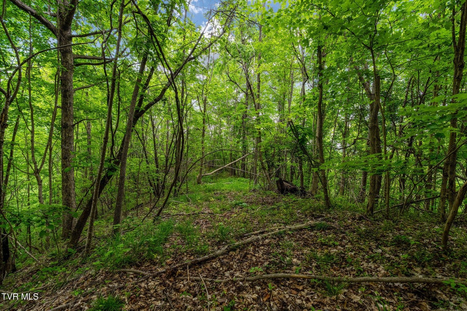 Photo #21: Tbd Wattenbarger Gap Road
