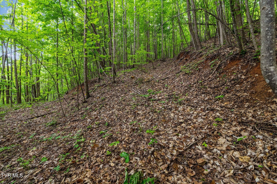 Photo #23: Tbd Wattenbarger Gap Road