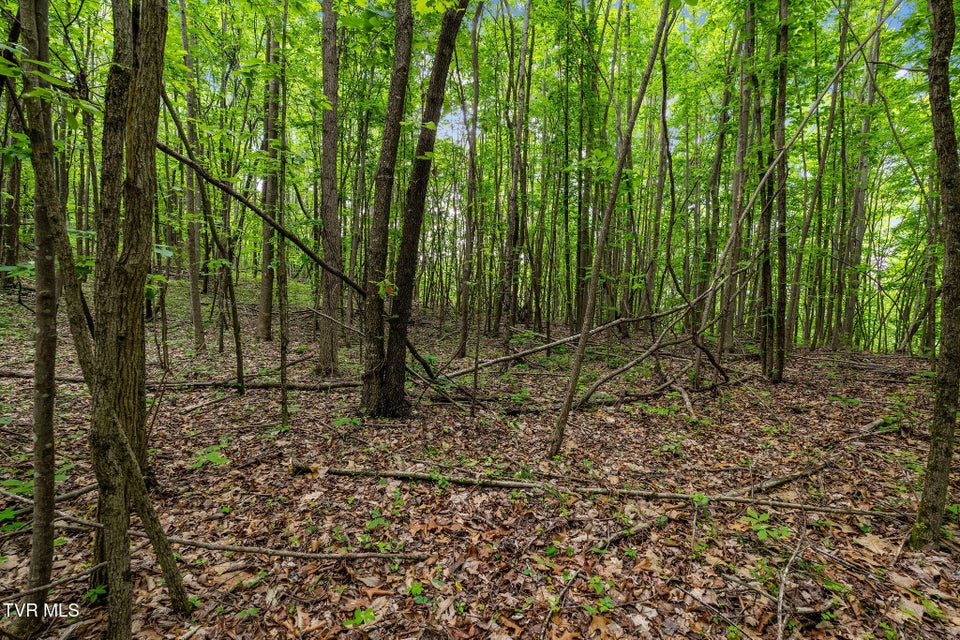 Photo #24: Tbd Wattenbarger Gap Road