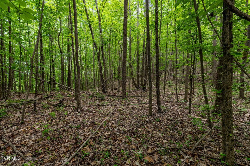 Photo #25: Tbd Wattenbarger Gap Road