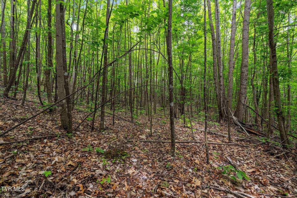 Photo #26: Tbd Wattenbarger Gap Road