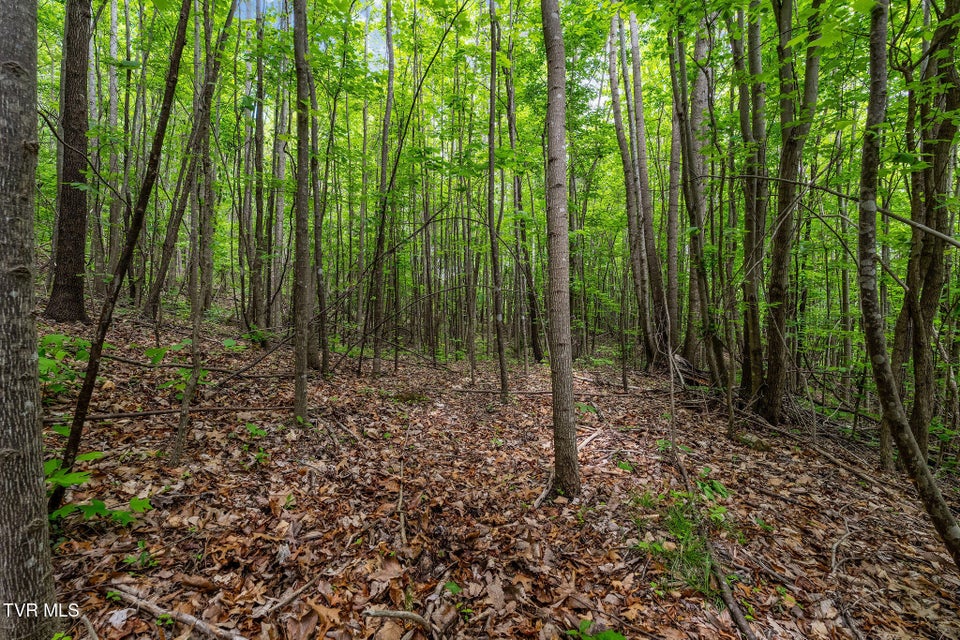 Photo #27: Tbd Wattenbarger Gap Road