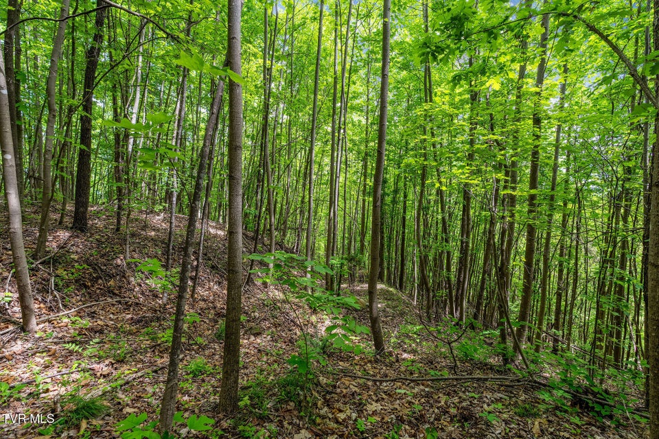 Photo #32: Tbd Wattenbarger Gap Road