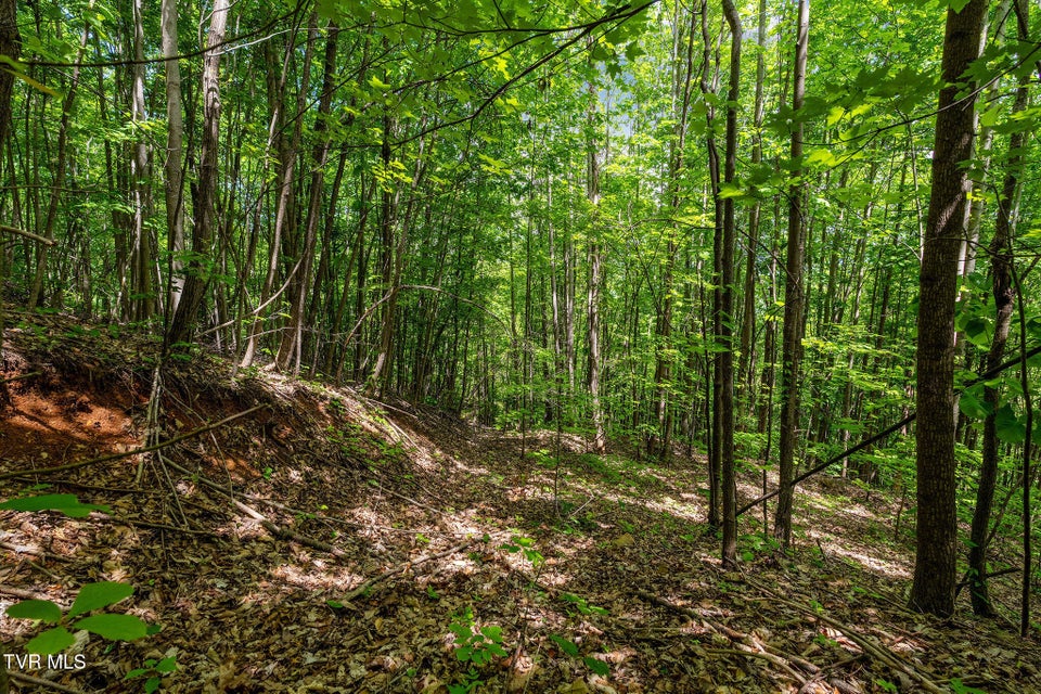 Photo #33: Tbd Wattenbarger Gap Road