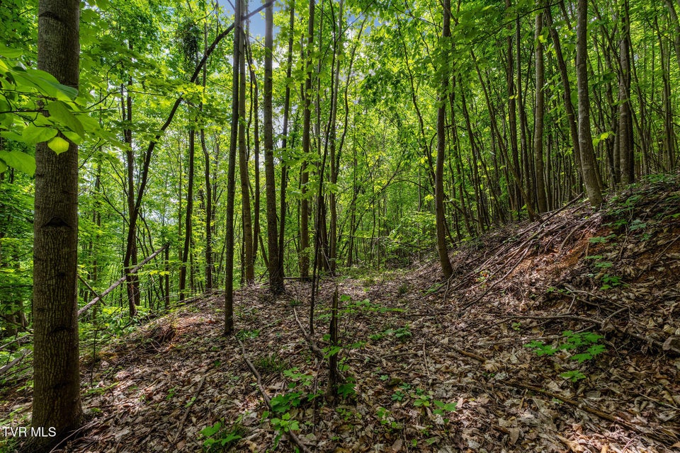 Photo #34: Tbd Wattenbarger Gap Road