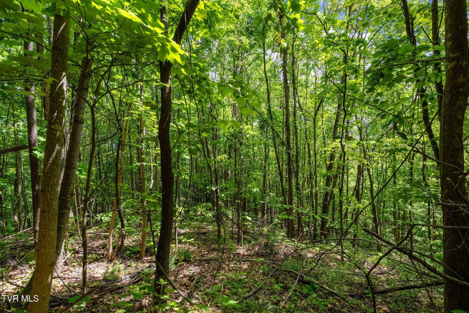 Photo #35: Tbd Wattenbarger Gap Road