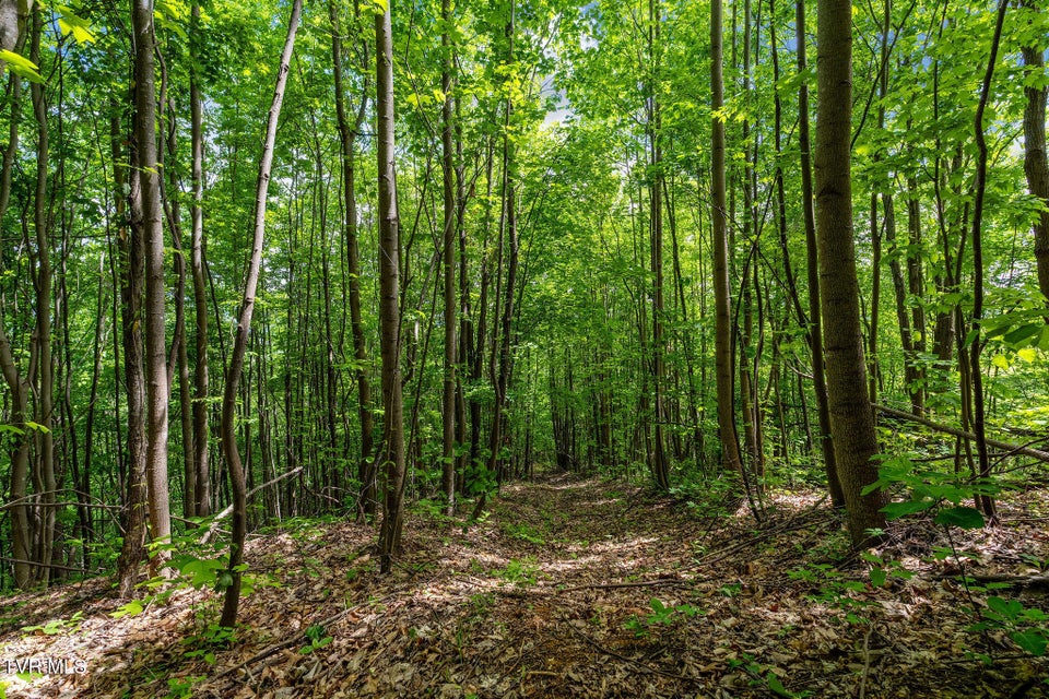 Photo #36: Tbd Wattenbarger Gap Road