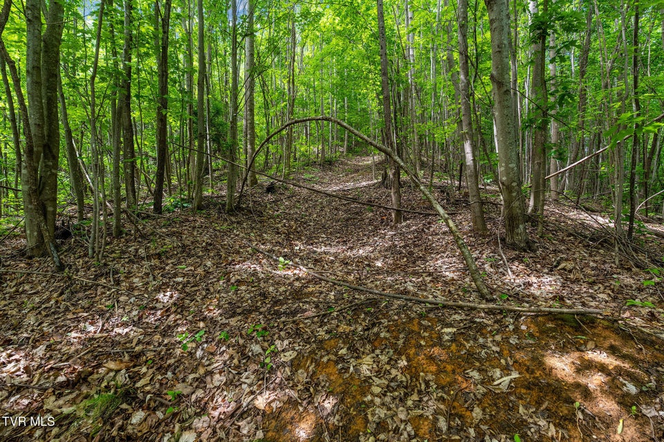 Photo #39: Tbd Wattenbarger Gap Road