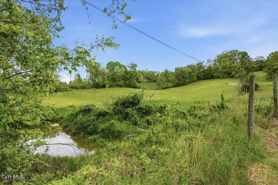 Photo #4: 27070 Shortsville Road