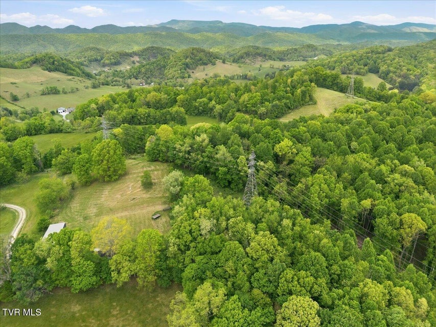 Photo #6: 27070 Shortsville Road