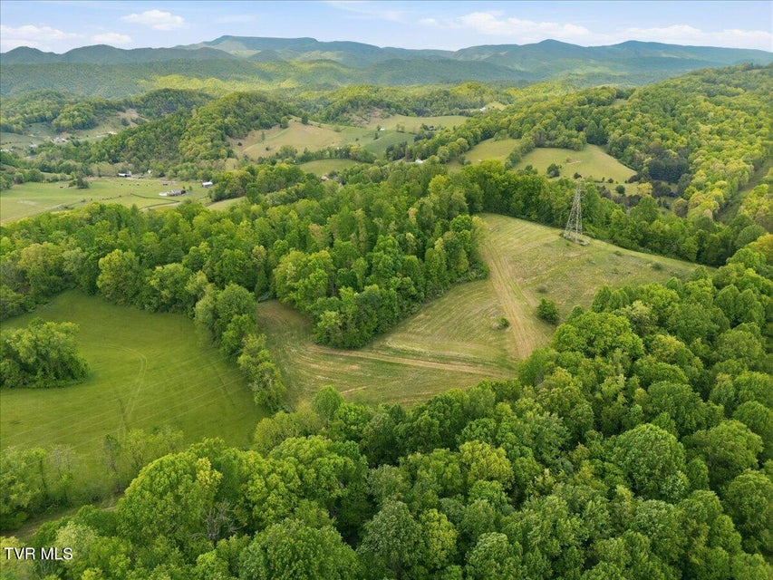 Photo #14: 27070 Shortsville Road