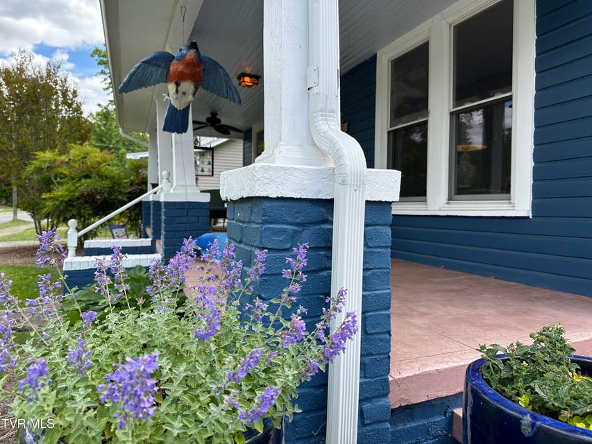 Photo #28: 1045 Catawba Street