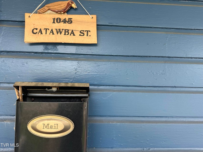 Photo #31: 1045 Catawba Street