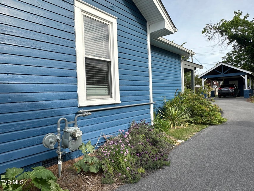 Photo #85: 1045 Catawba Street