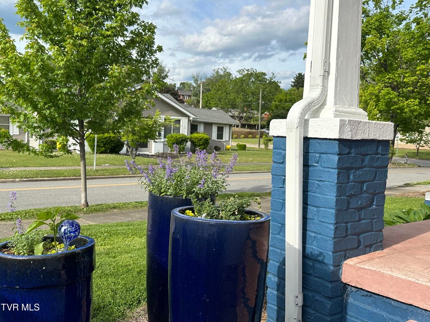 Photo #84: 1045 Catawba Street