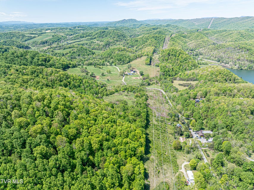 Photo #86: 431 Mitchell Valley Drive