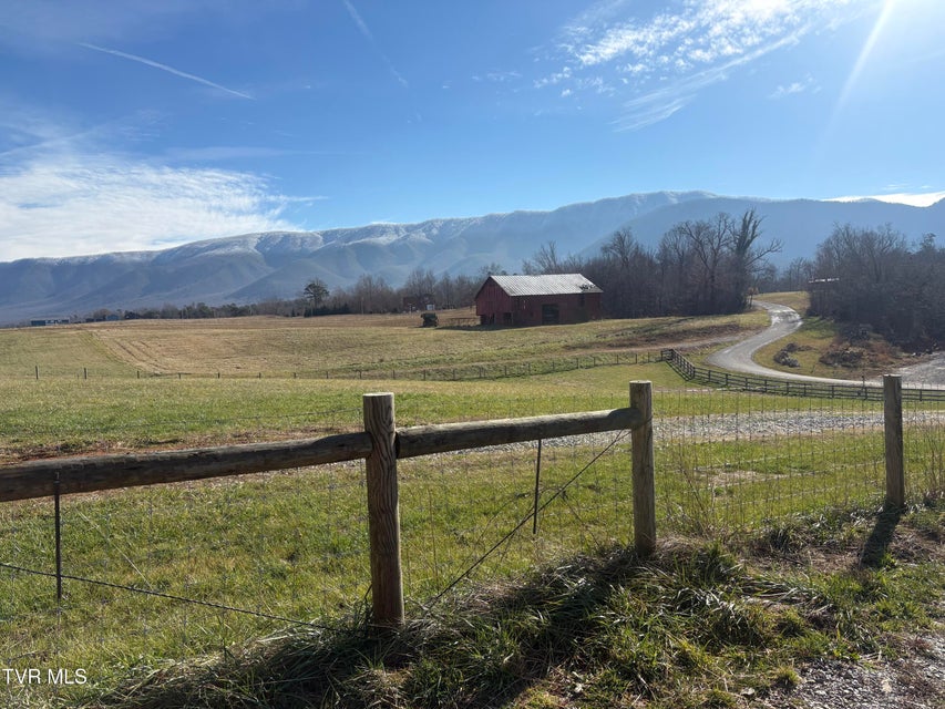 Photo #38: 105 Woolsey College Road