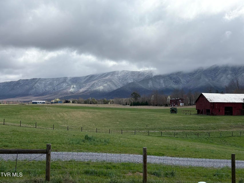 Photo #41: 105 Woolsey College Road