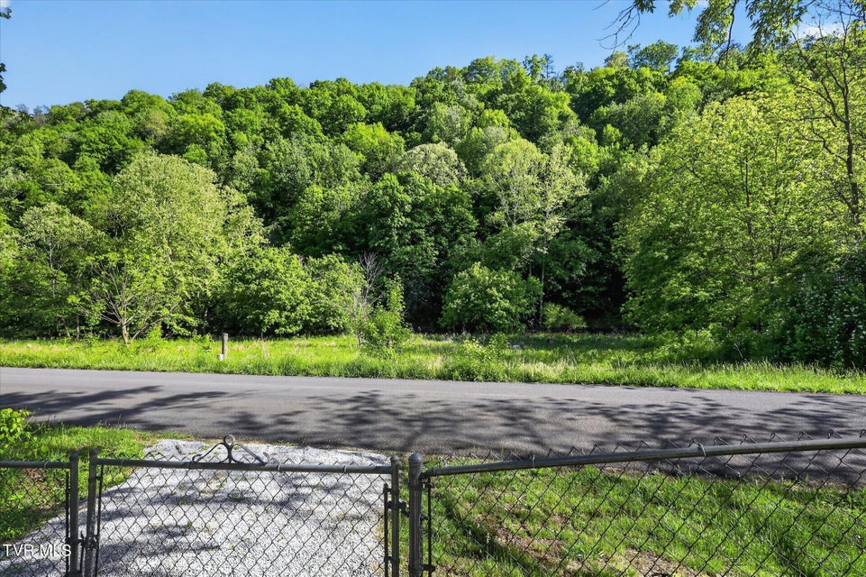 Photo #44: 1238 Ruritan Run Road