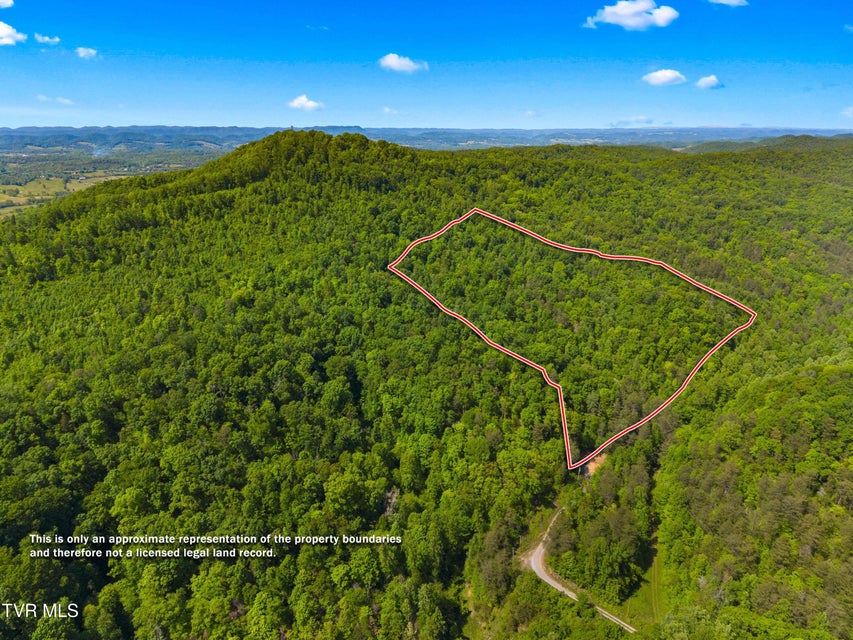 Photo #11: 1243 Brandon Hollow Lane