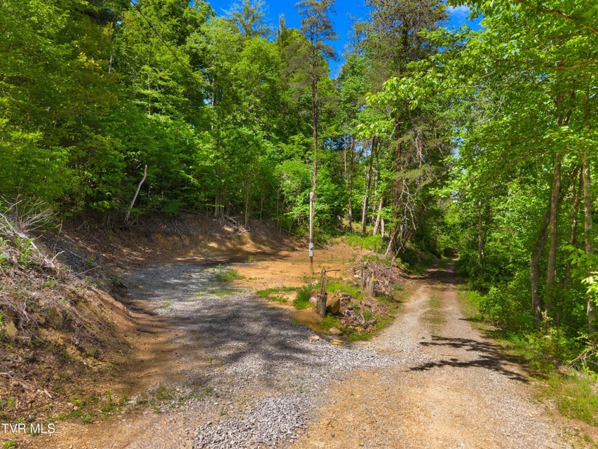 Photo #3: 1243 Brandon Hollow Lane