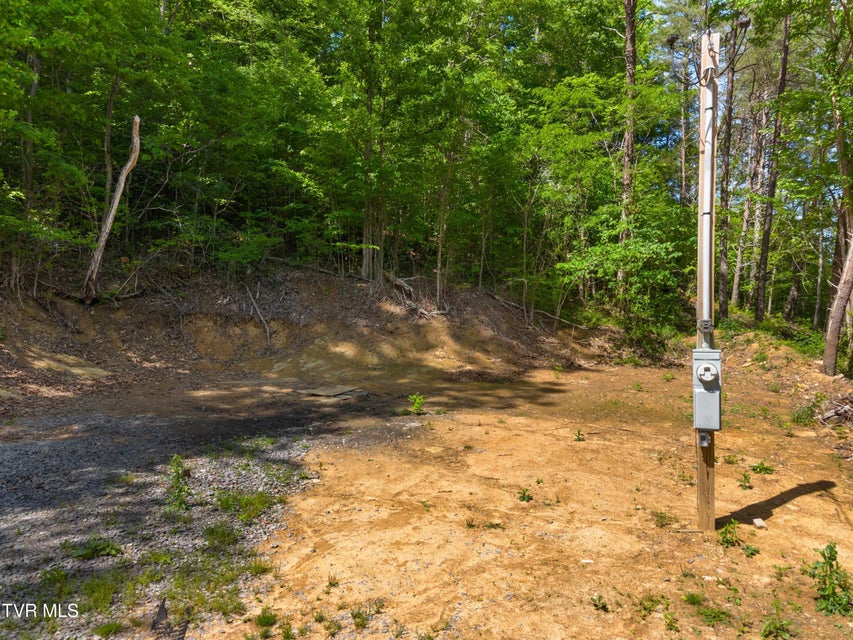 Photo #5: 1243 Brandon Hollow Lane