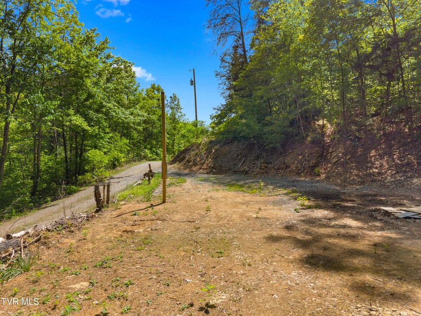 Photo #4: 1243 Brandon Hollow Lane