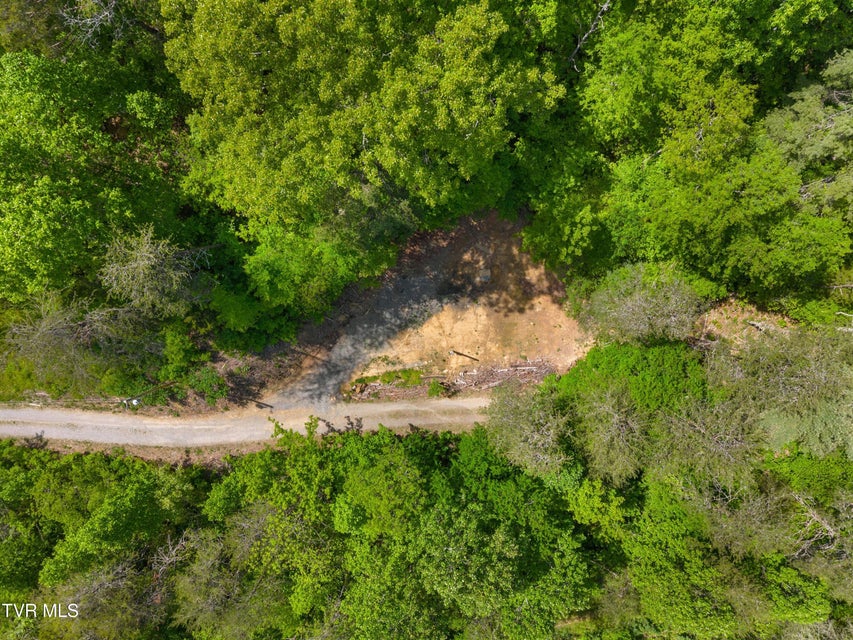Photo #8: 1243 Brandon Hollow Lane