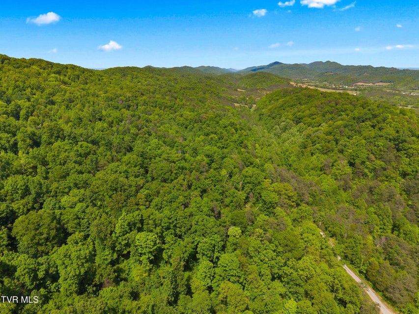 Photo #12: 1243 Brandon Hollow Lane