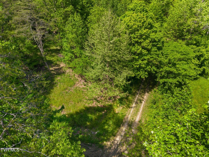 Photo #13: 1243 Brandon Hollow Lane