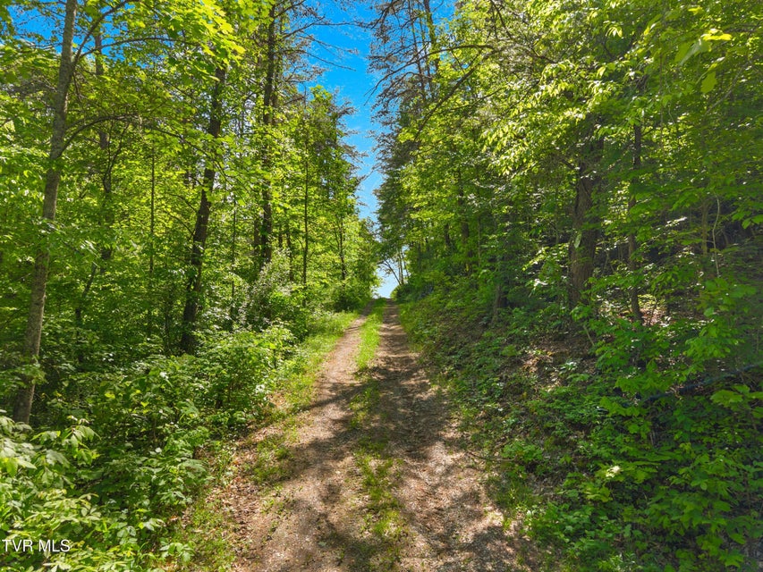 Photo #6: 1243 Brandon Hollow Lane