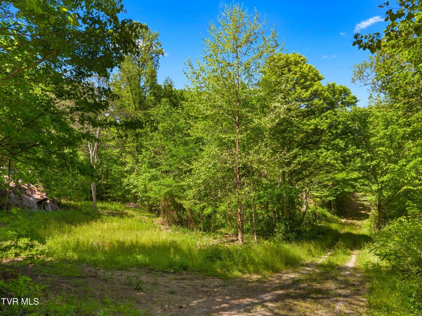 Photo #2: 1243 Brandon Hollow Lane