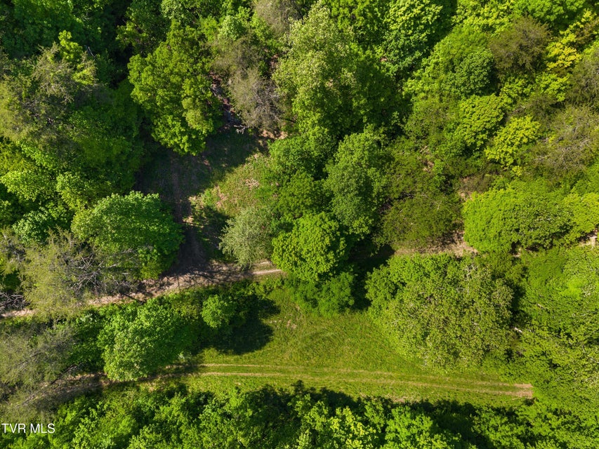 Photo #7: 1243 Brandon Hollow Lane